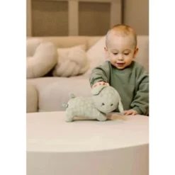 Nijntje Knuffel Snuffie - 25 cm - Green Flower