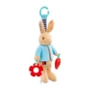 Rainbow Designs Pieter Konijn Activity Knuffel