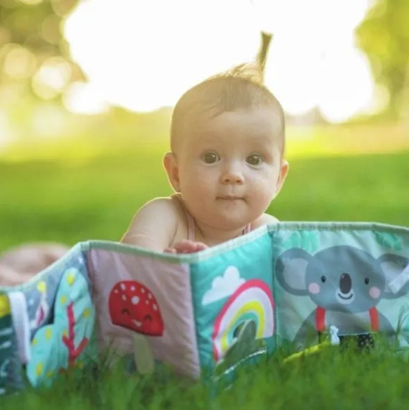 Taf Toys Koala Clip On Pram Boekje