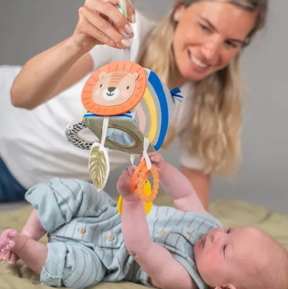 Taf Toys Savannah Activiteitenkubus